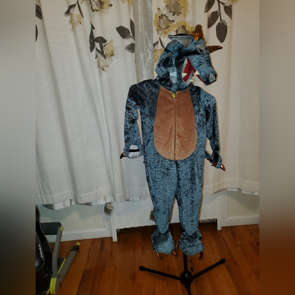 Kids Dragon Costume